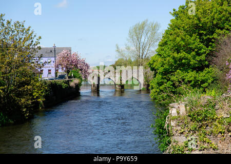 Trim Old Stone Bridge across river Boyne. Trim, County Meath, Leinster, Ireland Stock Photo