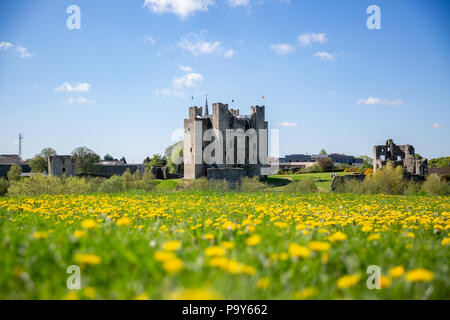 The largest Norman Castle in Ireland - Trim Castle located at the south bank of River Boyne in county Meath, Leinster, Ireland Stock Photo