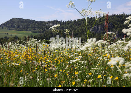 Beautiful countryside in Saulcy, Jura, Franches Montagnes, Switzerland Stock Photo