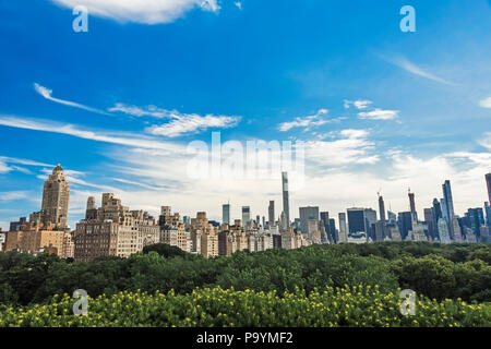 New York city skyline wide view in a clear sunny day Stock Photo - Alamy