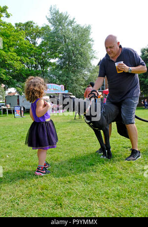 Little girl making friends with a Great Dane dog at East Preston village dog show Stock Photo