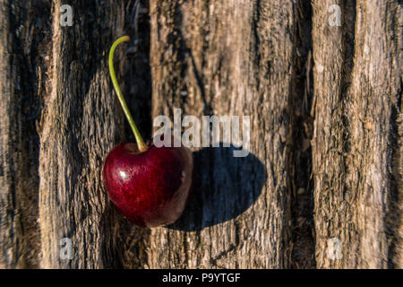 cherry on tree bark Stock Photo