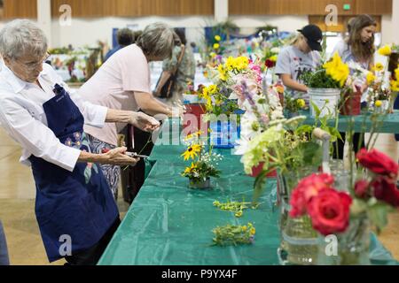 A senior woman working on a flower arrangement, at the Lane County Fair in Eugene, Oregon, USA. Stock Photo