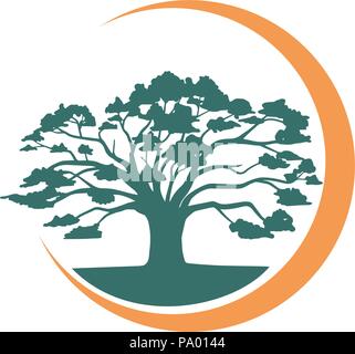 Oak Tree with Crescent Moon Nature Beauty Stock Vector