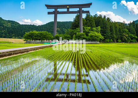 Kumano Kodo pilgrimage route. Otorii. Tori shrine gate that  marks the entrance to Oyunohara. Nakahechi. Wakayama .UNESCO. Japan Stock Photo