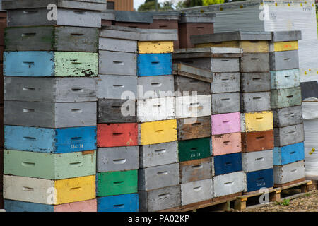 Beekeeping boxes stacked and ready to be transported, France Stock Photo