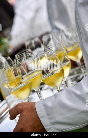Professional waiter in uniform is serving wine, France Stock Photo