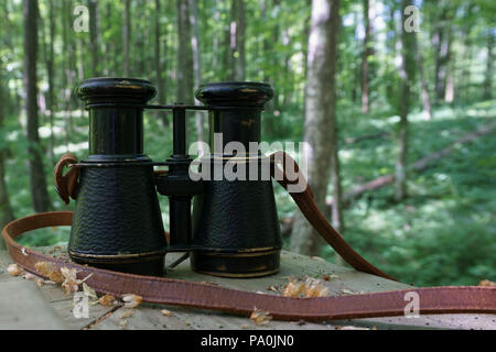 Vintage metal binoculars with a leather strap on the wooden table in nature Stock Photo