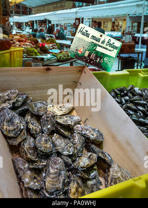 Fresh Oysters on display in wooden crate for sale in Concarneau Bretagne interior produce and fish market ‘Huitres creuses de Bretagne’ Concarneau North Atlantic Brittany France Stock Photo