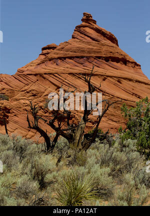 Arizona, USA. 25th June, 2018. A swirling sandstone formation in Coyote ...