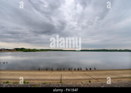 Arlington East Sussex UK 20 July   - An overcast day at Arlington Reservoir near Eastbourne in East Sussex where the water levels remain quite good despite the drought conditions throughout Britain . The South East Water reservoir is a well known beauty spot popular with walkers and bird watchers Credit: Simon Dack/Alamy Live News Stock Photo