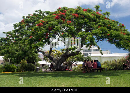 Office workers have their lunch in Victoria Park, in central Hamilton, Bermuda. Stock Photo