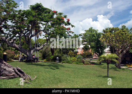 Office workers have their lunch in Victoria Park, in central Hamilton, Bermuda. Stock Photo