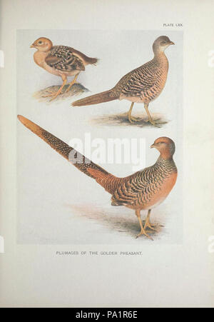 A monograph of the pheasants Stock Photo