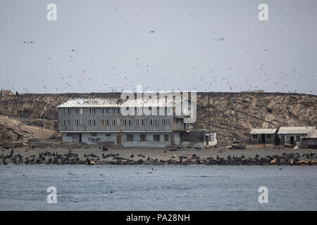 Abandoned buildings overrun with birds and seals on Tyuleny Island (Sea of Okhotsk) Stock Photo