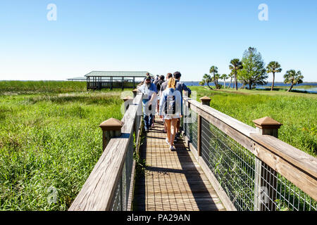 Florida,Kenansville,Orlando,Wild Florida Airboats & Gator Park,Cypress Lake,raised nature boardwalk,freshwater marsh,girl girls,female kid kids child Stock Photo