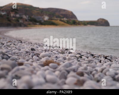 Pebbles on the beach, sea in the background Stock Photo