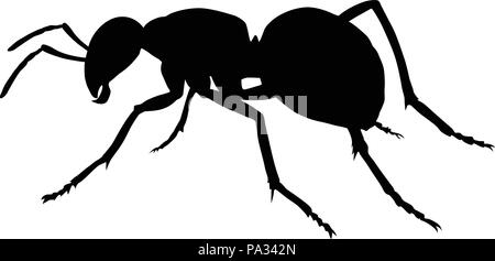 Silhouette of an ant on white background Stock Vector