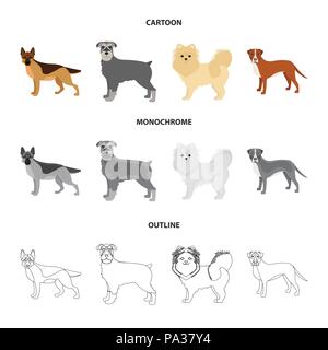 Dog breeds cartoon,outline,monochrome icons in set collection for design.Dog pet vector symbol stock  illustration. Stock Vector