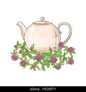 clover tea vector illustration on white background Stock Vector
