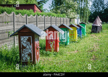 Panited beehives in Zalipie village in Poland, famous for its local tradition of floral paintings initiated by folk artist Felicja Curylowa Stock Photo