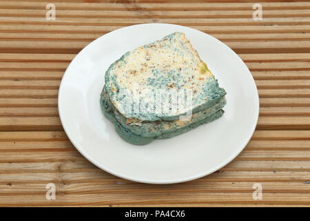 Old mouldy bread on a white plate Stock Photo