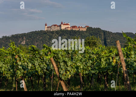 viticulture and Göttweig Abbey at Furth-Palt, Kremstal, Lower Austria, Austria Stock Photo