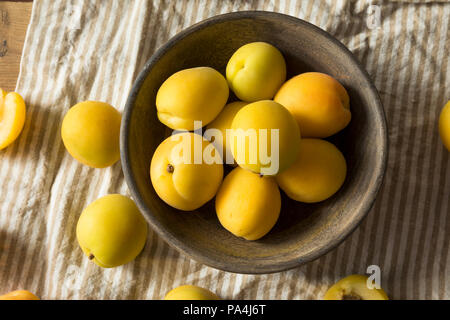 Raw Yellow Organic Angelcot Apricots Ready to Eat Stock Photo - Alamy