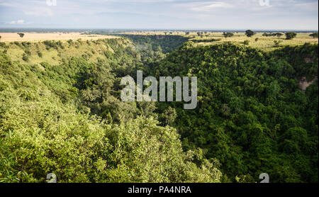 One kilometer long and 100 meters deep Kyambura Gorge in the Queen Elizabeth National Park that is a home for chimanzees, Uganda Stock Photo