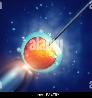 In vitro fertilisation , Injecting sperm into egg cell, Assisted reproductive treatment Stock Photo