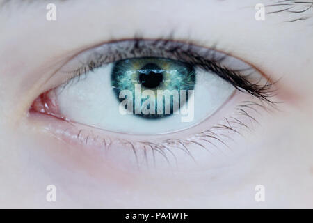 Macro of a woman's beautiful green eyes. Extreme shallow depth of field with selective focus on center of eye. Stock Photo