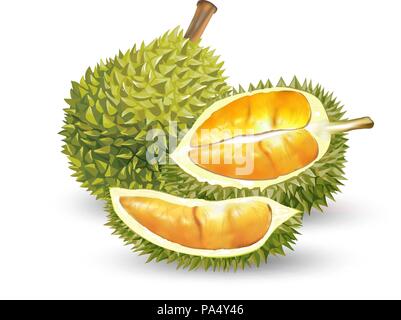 Realistic set of whole and sliced green pears on white background ...