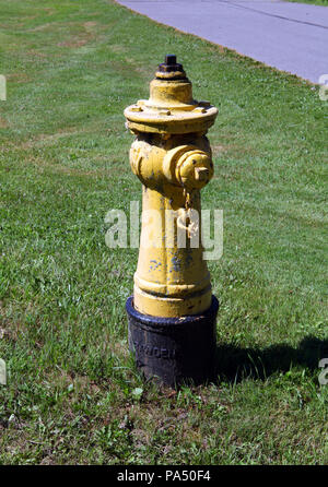 a yellow fire hydrant on a grass verge on Toronto Islands, Ontario, Canada Stock Photo