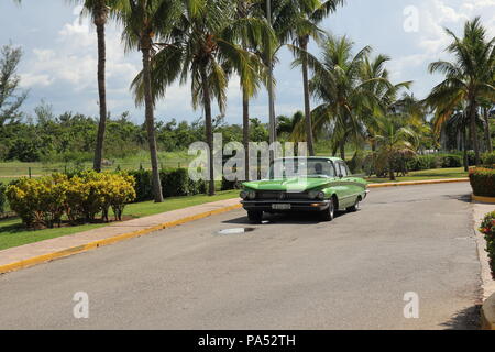 Green vintage American car rides along a row of tall palm trees Stock Photo