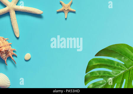 Tropical Background. Palm Trees Branches with starfish and seashell on blue background. Travel. Copy space. Stock Photo