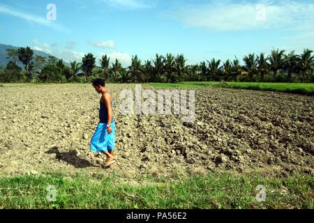 Siargao Rice Field Summer season in the Philippines on a beautiful white sand island with ...