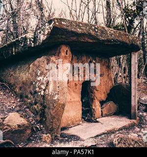 Dolmen in the forest. Mysterious dolmen Stock Photo