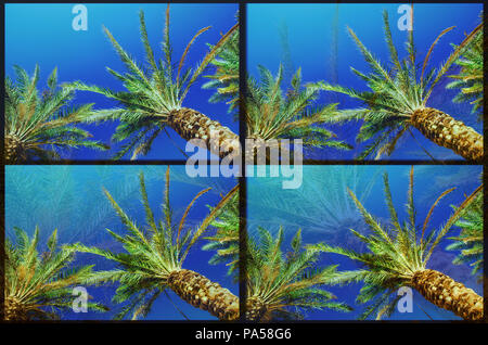 Glitch effect due to photo processing on an image with palms and ocean. Stock Photo