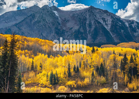 Aspen trees and autumn color along Kebler Pass in West Elk Mountains near Crested Butte, Colorado. Stock Photo