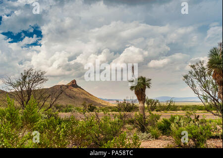 Big Bend National Park park road Stock Photo