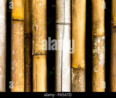 Bamboo stake background with dark shadows Stock Photo