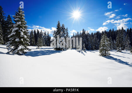 Snowy winter landscape, Winklmoos-Alm, Reit im Winkl, Chiemgau, Bavaria, Germany Stock Photo