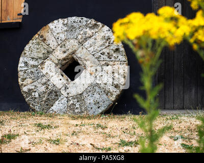 Millstone with out of focus ragwort flowers in the foreground at Holgate Windmill York Yorkshire England Stock Photo