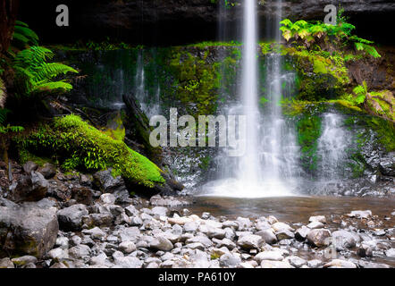 A photography of a nice rainforest waterfall in Australia Stock Photo