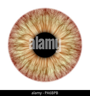 An illustration of a nice iris texture Stock Photo