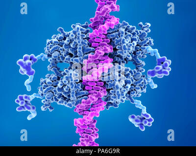 alamy