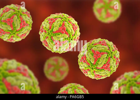 Japanese encephalitis virus (JEV), computer illustration. JEV is an RNA (ribonucleic acid) virus from the Flaviviridae family. It is transmitted by Culex sp. mosquito and causes encephalitis (brain inflammation). Stock Photo