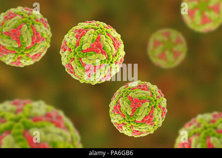 Japanese encephalitis virus (JEV), computer illustration. JEV is an RNA (ribonucleic acid) virus from the Flaviviridae family. It is transmitted by Culex sp. mosquito and causes encephalitis (brain inflammation). Stock Photo