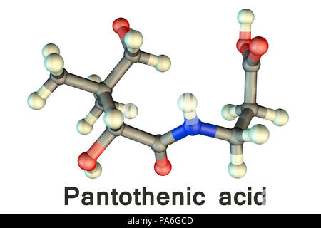 Vitamin B5 (pantothenic acid), molecular model. This vitamin is required for synthesizing coenzyme-A. Atoms are represented as spheres and are colour-coded: carbon (grey), hydrogen (white), nitrogen (blue) and oxygen (red). Stock Photo