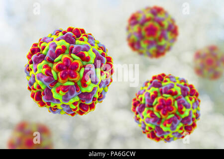 Rhinovirus, computer illustration. The rhinovirus infects the upper respiratory tract and is the cause of the common cold. It is spread by coughs and sneezes. Stock Photo